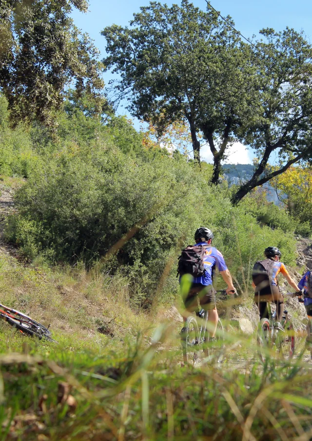 Vtt Pause Nature Colline Garlaban Oti Aubagne