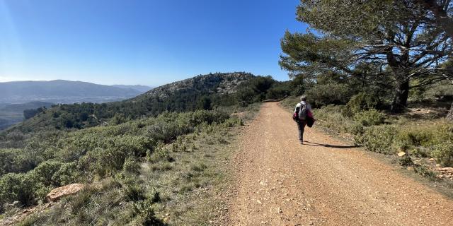 Sentier DFCI - Massif de l'Étoile