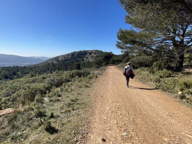 Sentier DFCI - Massif de l'Étoile