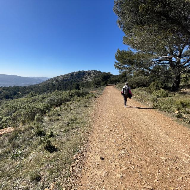 Sentier DFCI - Massif de l'Étoile