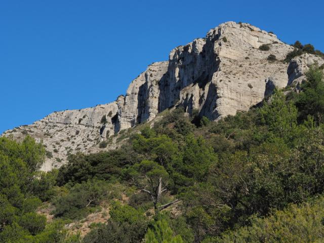 Mont Aurélien