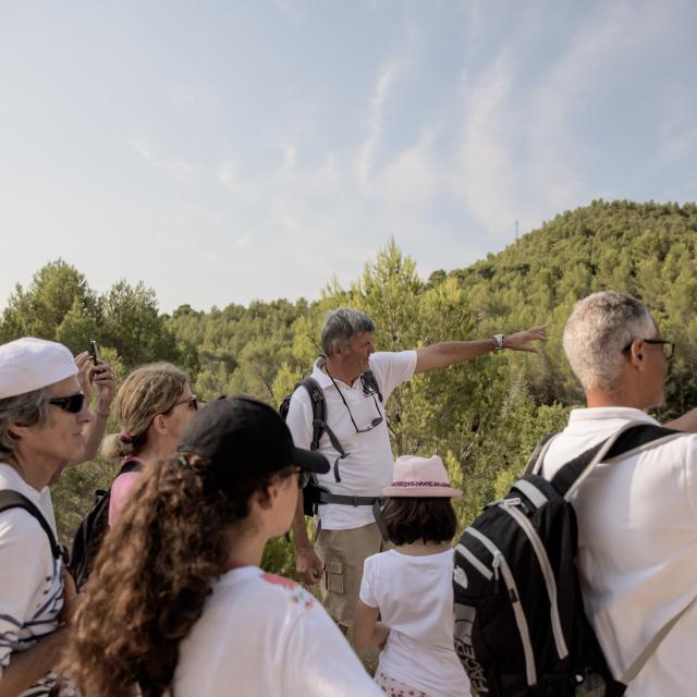 Randonnée d'Aubagne à la Treille