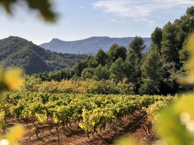 Vignerons Du Garlaban