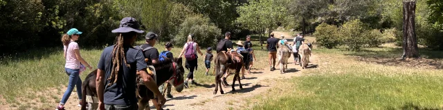 Balade avec les ânes de la Font de Mai