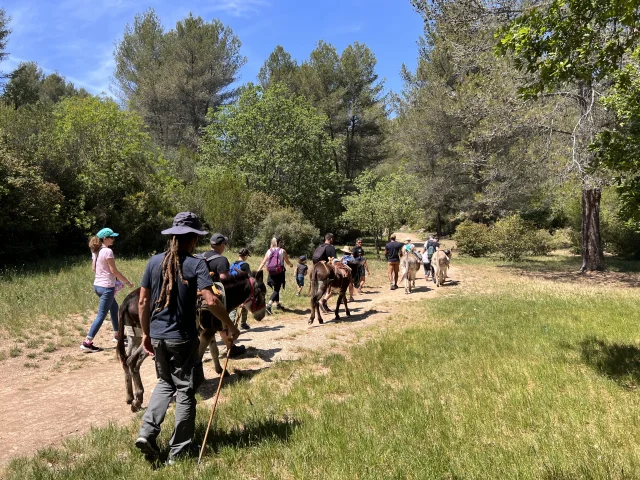 Balade avec les ânes de la Font de Mai