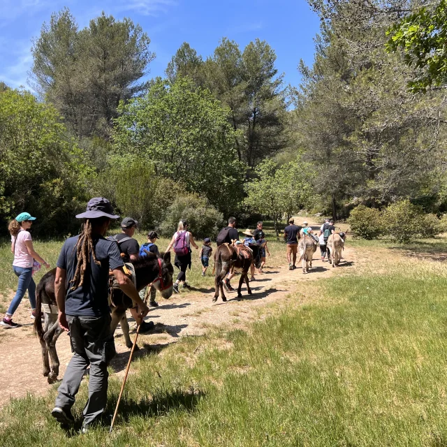 Balade avec les ânes de la Font de Mai